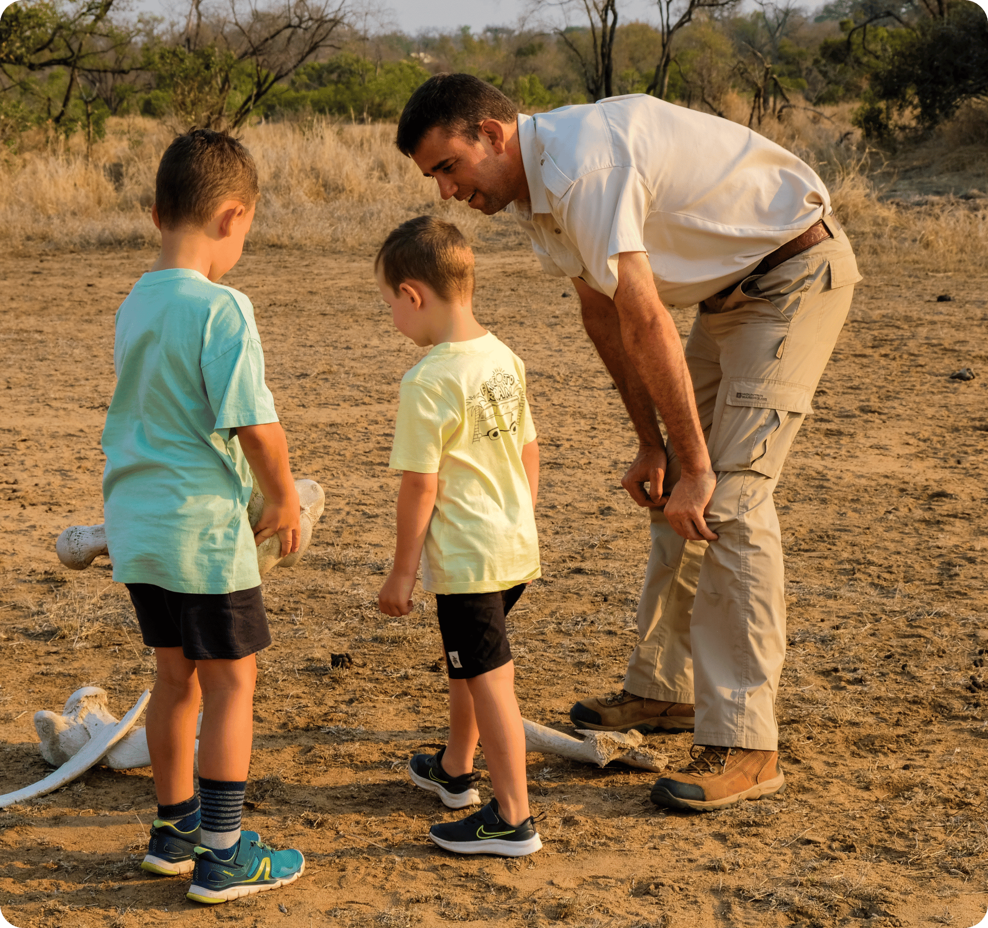 honeyguide gallery (3)